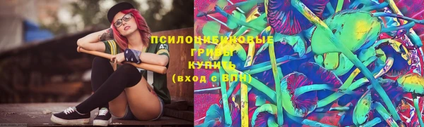 эйфоретик Кущёвская