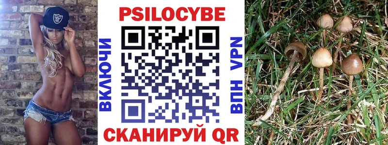 даркнет какой сайт Вилюйск Галлюциногенные грибы Magic Shrooms что такое наркотик